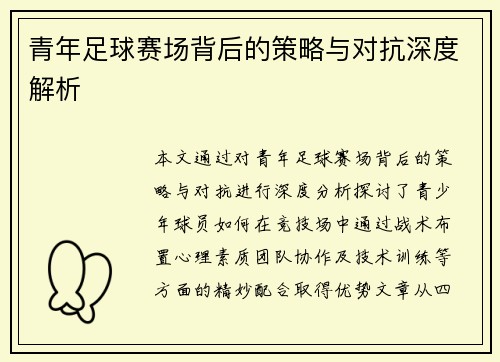 青年足球赛场背后的策略与对抗深度解析