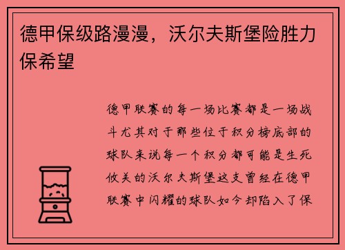 德甲保级路漫漫，沃尔夫斯堡险胜力保希望