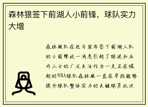 森林狼签下前湖人小前锋，球队实力大增