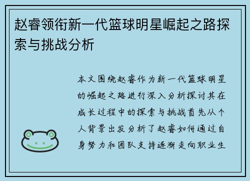 赵睿领衔新一代篮球明星崛起之路探索与挑战分析
