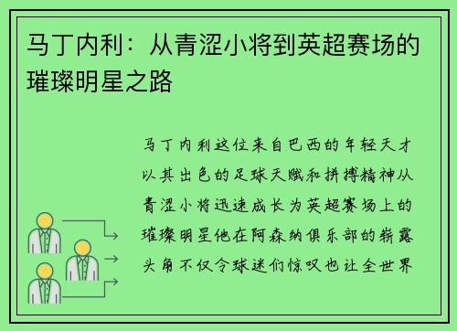 马丁内利：从青涩小将到英超赛场的璀璨明星之路