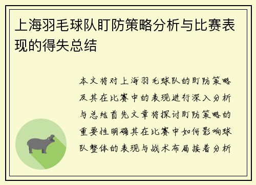 上海羽毛球队盯防策略分析与比赛表现的得失总结
