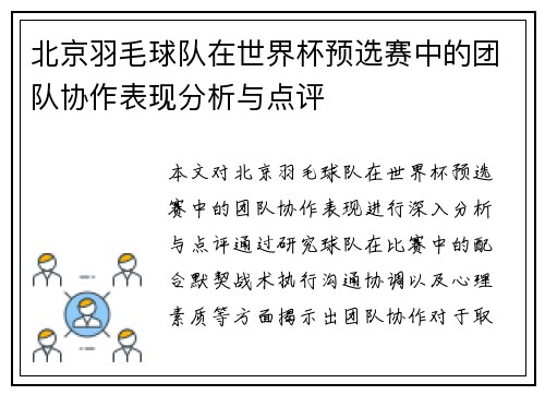 北京羽毛球队在世界杯预选赛中的团队协作表现分析与点评