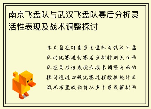 南京飞盘队与武汉飞盘队赛后分析灵活性表现及战术调整探讨